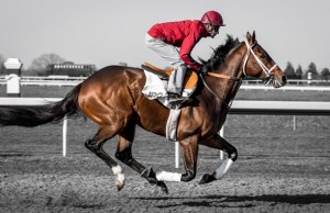horse-race-jockey