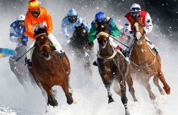 Онлайн ставки на лошадей расчет систем в ставках на спорт